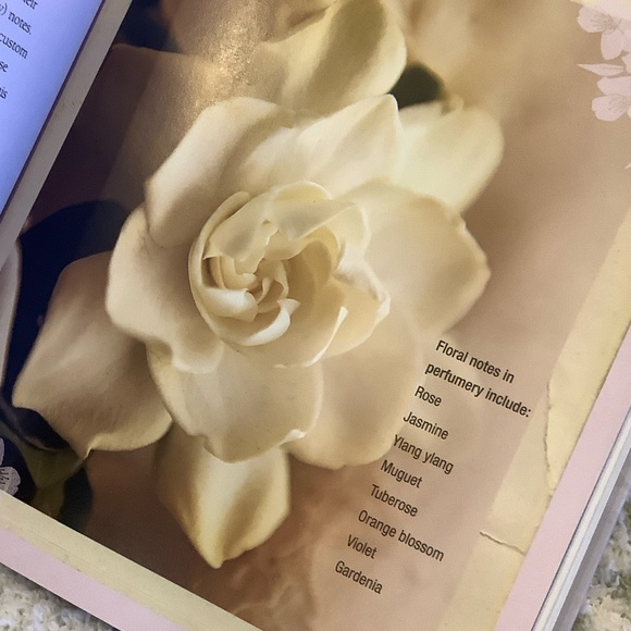 'Perfume: The Art & Craft of Fragrance' Book NWT by Karen Gilbert 144pgs - Picture 16 of 16